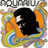 Herman Chin-Loy - Aquarius Dub