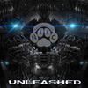 Niic - Unleashed