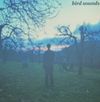 Paper Curtains - bird sounds