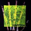 Lumydia - Preludio