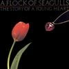 A Flock of Seagulls - The Story of a Young Heart