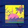 A Flock of Seagulls - Light at the End of the World