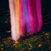 slenderbodies - before