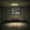 Shed Theory - FANCY