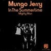 Mungo Jerry - In the Summertime
