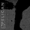 Pelican - Pelican