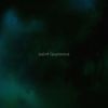 Saint Laurence - Behaviour