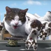 Cyriak Harris - Welcome to Kitty City