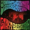 山本精一 [Seiichi Yamamoto] - Giant Psychedelia