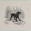Billy Cobb - Black Hound