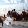 Holidays In United States - Dog Song