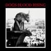 Current 93 - Dogs Blood Rising