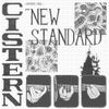 cistern - New Standard