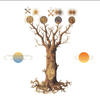 Transmigration of the Magus