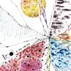 言ノ花束、水葬と回生 [Flowers Of Sentence, Rebirth At Sea]