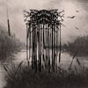 Sorrow UTBM - Purigations of the Mortal