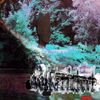gung - self-titled