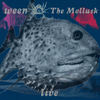 The Mollusk - Live