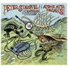 The Cambrian Explosion