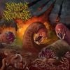 Maggot Apocalypse - Maggot Apocalypse