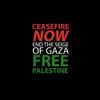 Declan Welsh and The Decadent West - Walk A Mile In Gaza