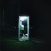 雪国 [Yukiguni] - pothos