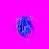 Animal Collective & Black Dice - Wastered