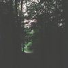 SPITPIT197 - sundancer