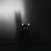SIAMES - Melodramatic