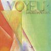 David Sanborn - Voyeur