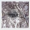 Grace Abnormal - A HOUSE WITH NO ONE LIVING IN IT