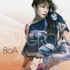 BoA - Outgrow