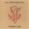 Graham Coxon - Crow Sit on Blood Tree