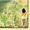 The Acorn - Glory Hope Mountain