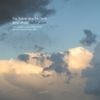 The Tallest Man on Earth - Shallow Grave