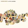 Junior Boys - So This Is Goodbye