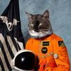 Klaxons - Surfing the Void