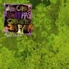 Animal Collective - Water Curses