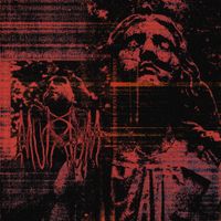 Mvrmvr - Color of Pain