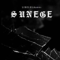 Libelula9001 - SUNETE