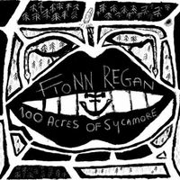 Fionn Regan - 100 Acres of Sycamore
