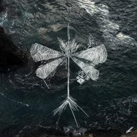 Ferlite - we've grown up way too fast