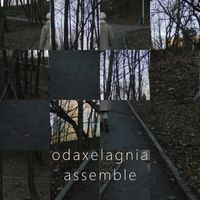odaxelagnia - assemble