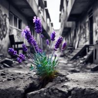 Capital Bra - Lavendel
