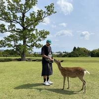 Brahman - 2024 JAPAN