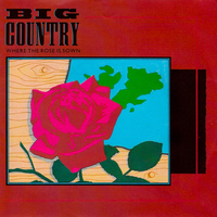 Big Country - Where the Rose Is Sown