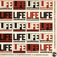 Life Sentence - No Experience Necessary