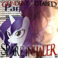 gundeityxlestabed - SPARE INHALER