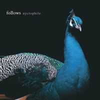 Follows - Nyctophile