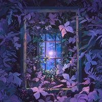 SABAI - North Star